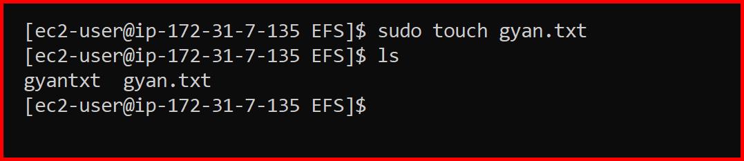Picture showing the file created inside the EFS folder